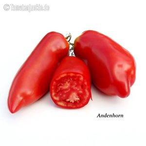 Andenhorn