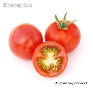 Angora Supersweet