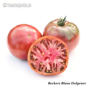 Beckers Blaue Dolgener