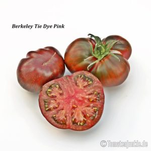 Berkeley Tie-Dye Pink