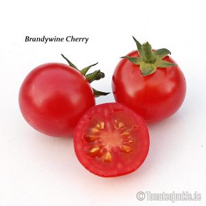Brandywine Cherry