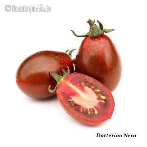 Datterino Nero