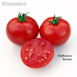Hoffmanns Rentita