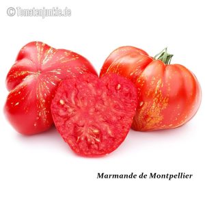 Marmande de Montpellier