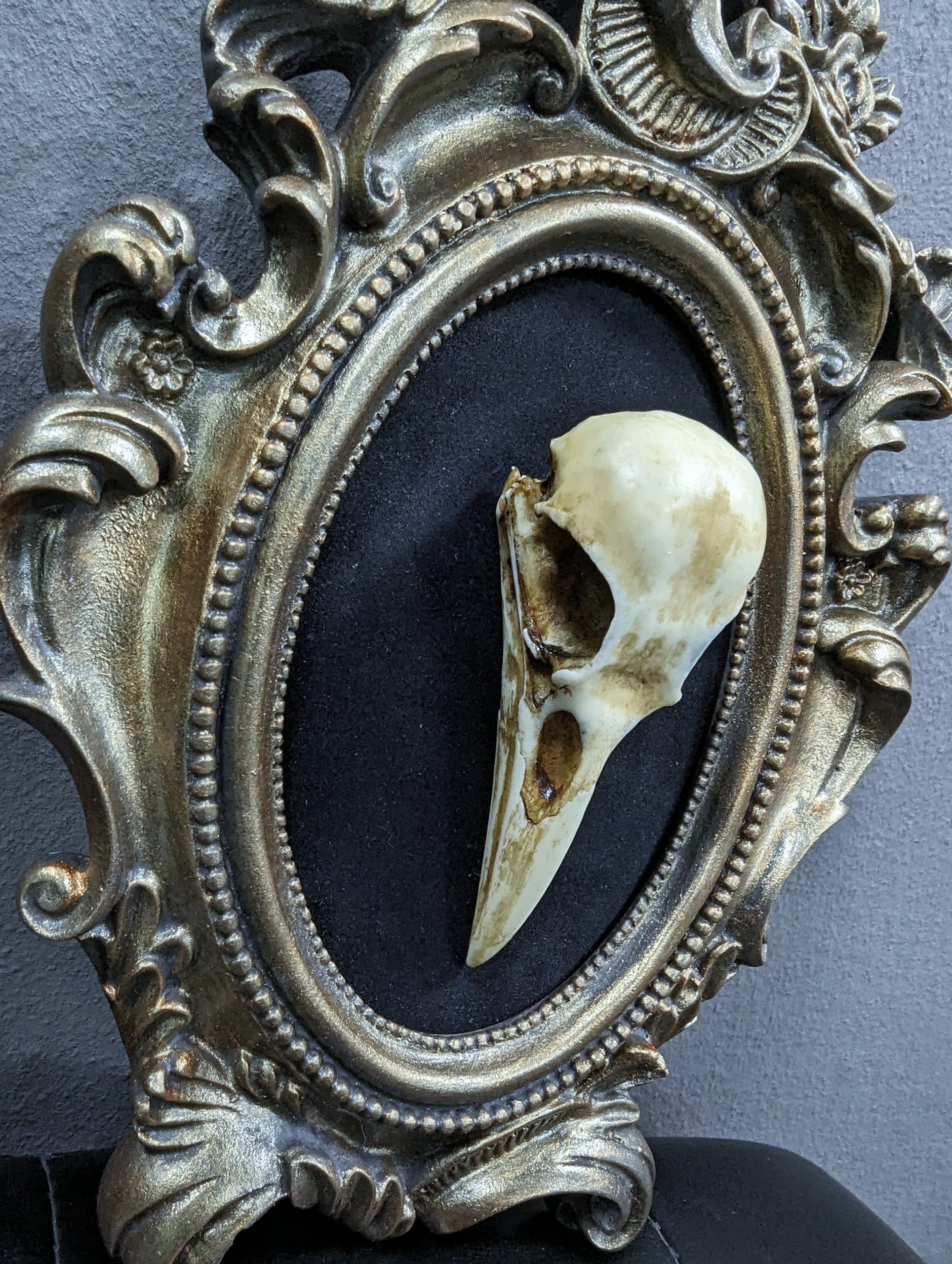 Mystery Creation Wanddekoration Rabenschädel natur – Bild 3