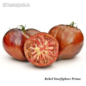 Rebel Starfighter Prime