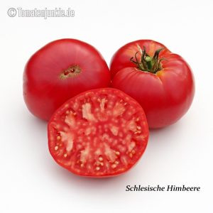 Schlesische Himbeere