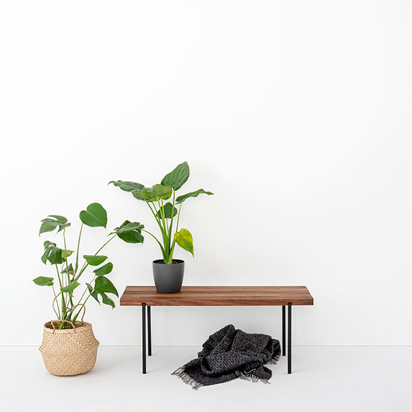 Sitzbank NUSSBAUM – Bild 8