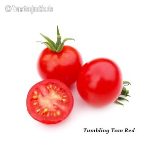 Tumbling Tom Red