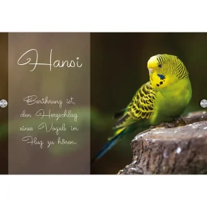 Tier-Schild Wellensittich mit individuellem Foto-Druck (30×20 cm)