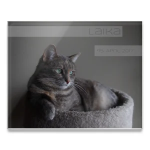 Katzen Schild für Zuhause mit Foto-Druck (25×20 cm)